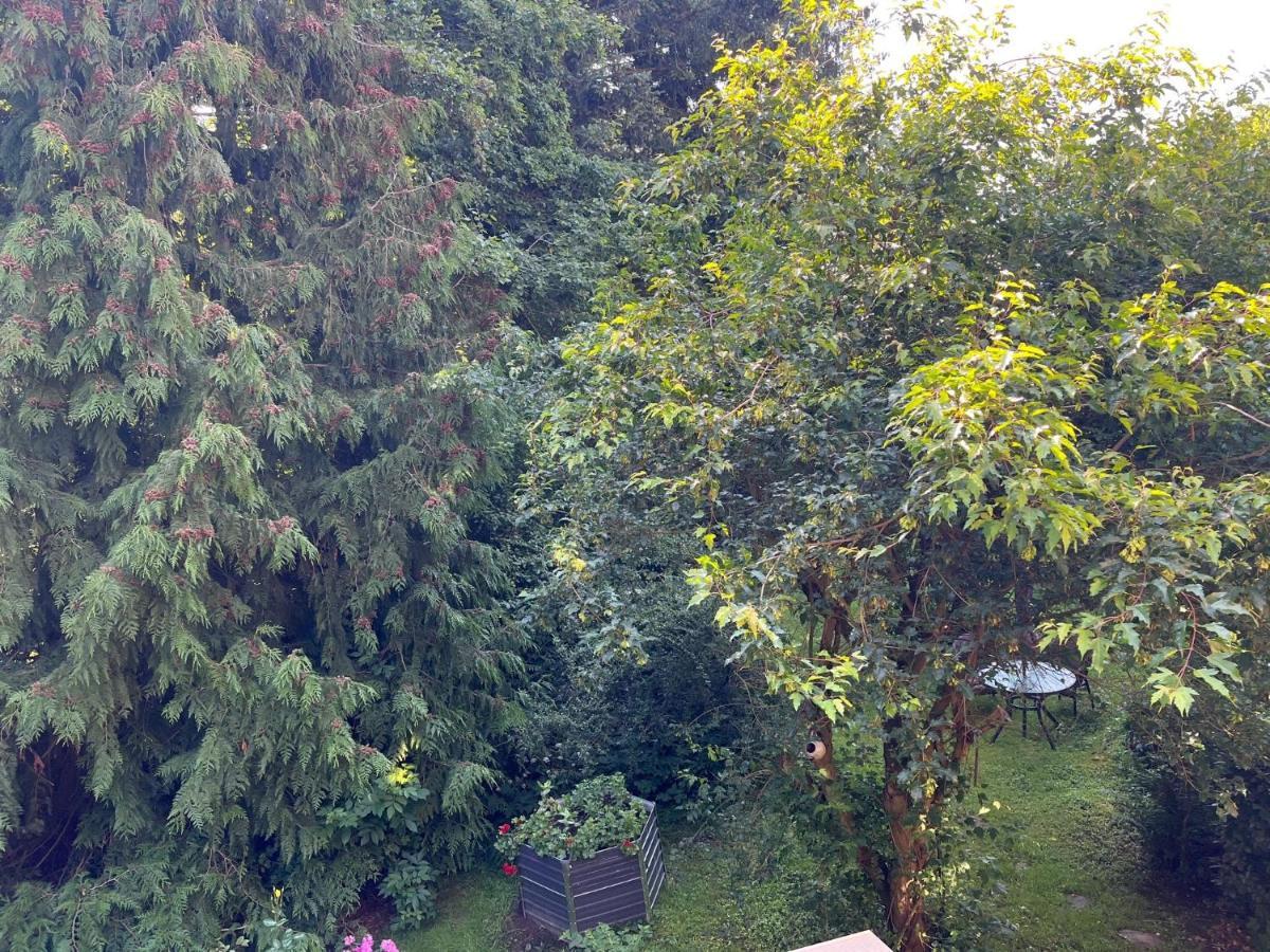 Appartamento Forsthaus Neudorf Harzgerode Esterno foto
