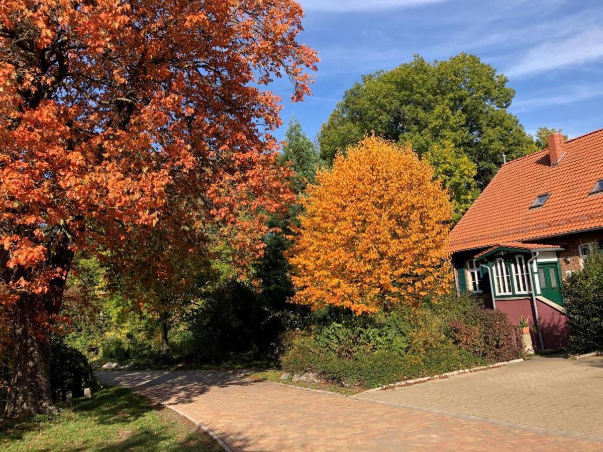 Appartamento Forsthaus Neudorf Harzgerode Esterno foto