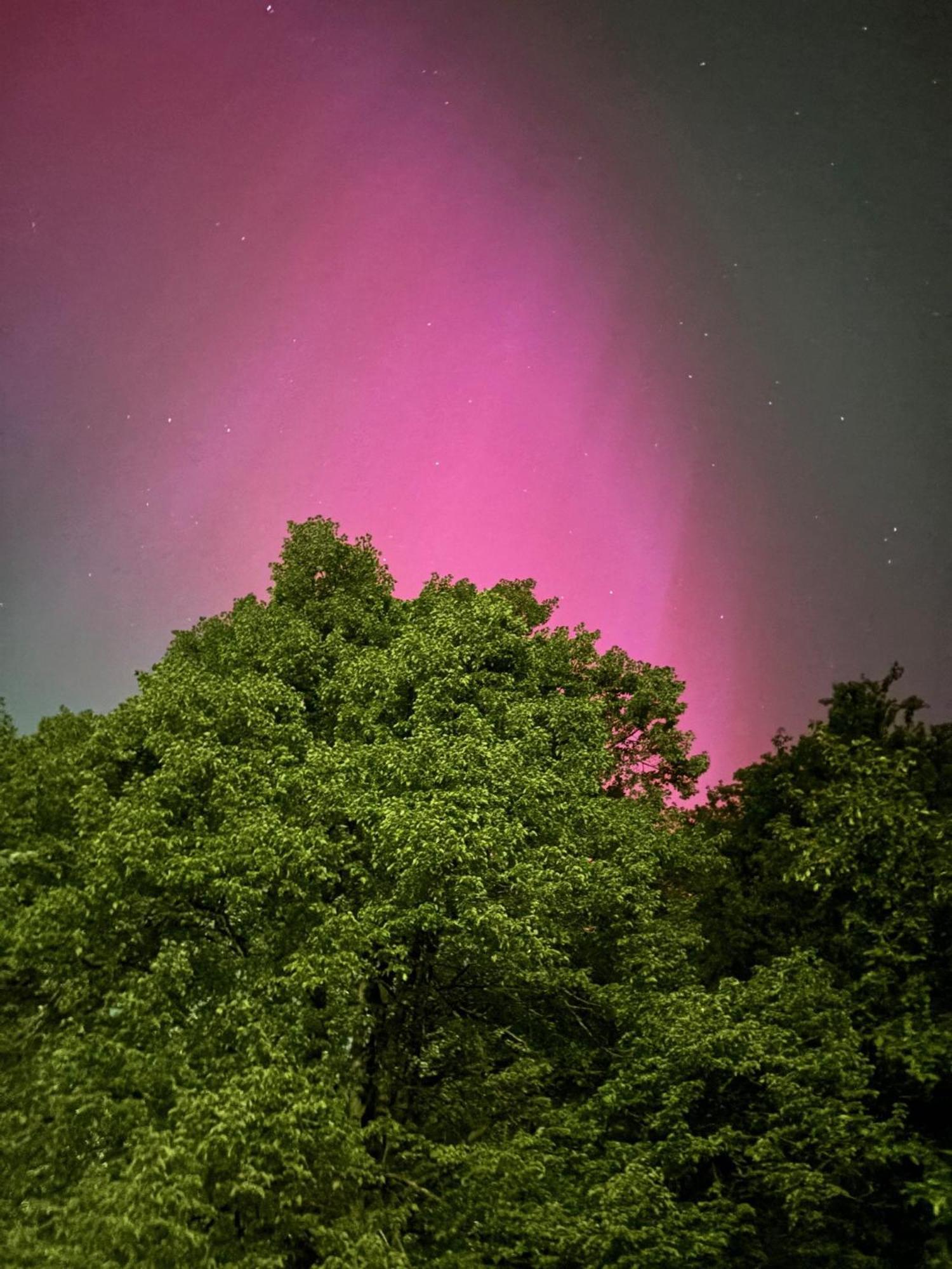 Appartamento Forsthaus Neudorf Harzgerode Esterno foto